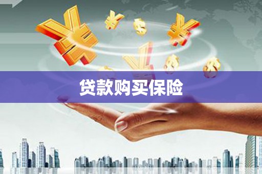 潭子贷款购买保险