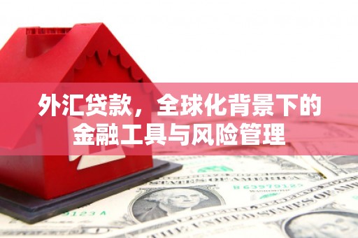 潭子外汇贷款，全球化背景下的金融工具与风险管理