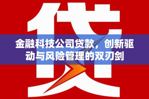 潭子金融科技公司贷款，创新驱动与风险管理的双刃剑